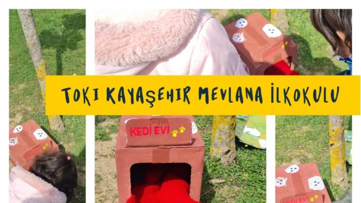 Bahçede Kedi Evi Yapımı Etkinliği